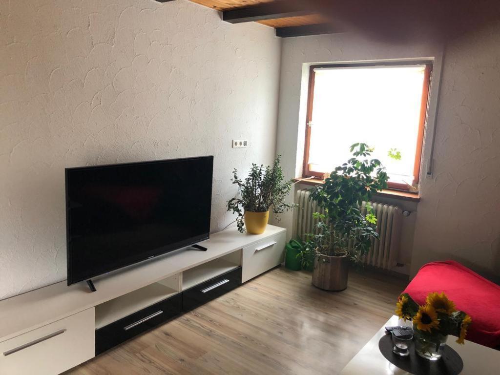 Ferienwohnung Zur Sonnenterasse In Gersbach Schopfheim Exteriér fotografie